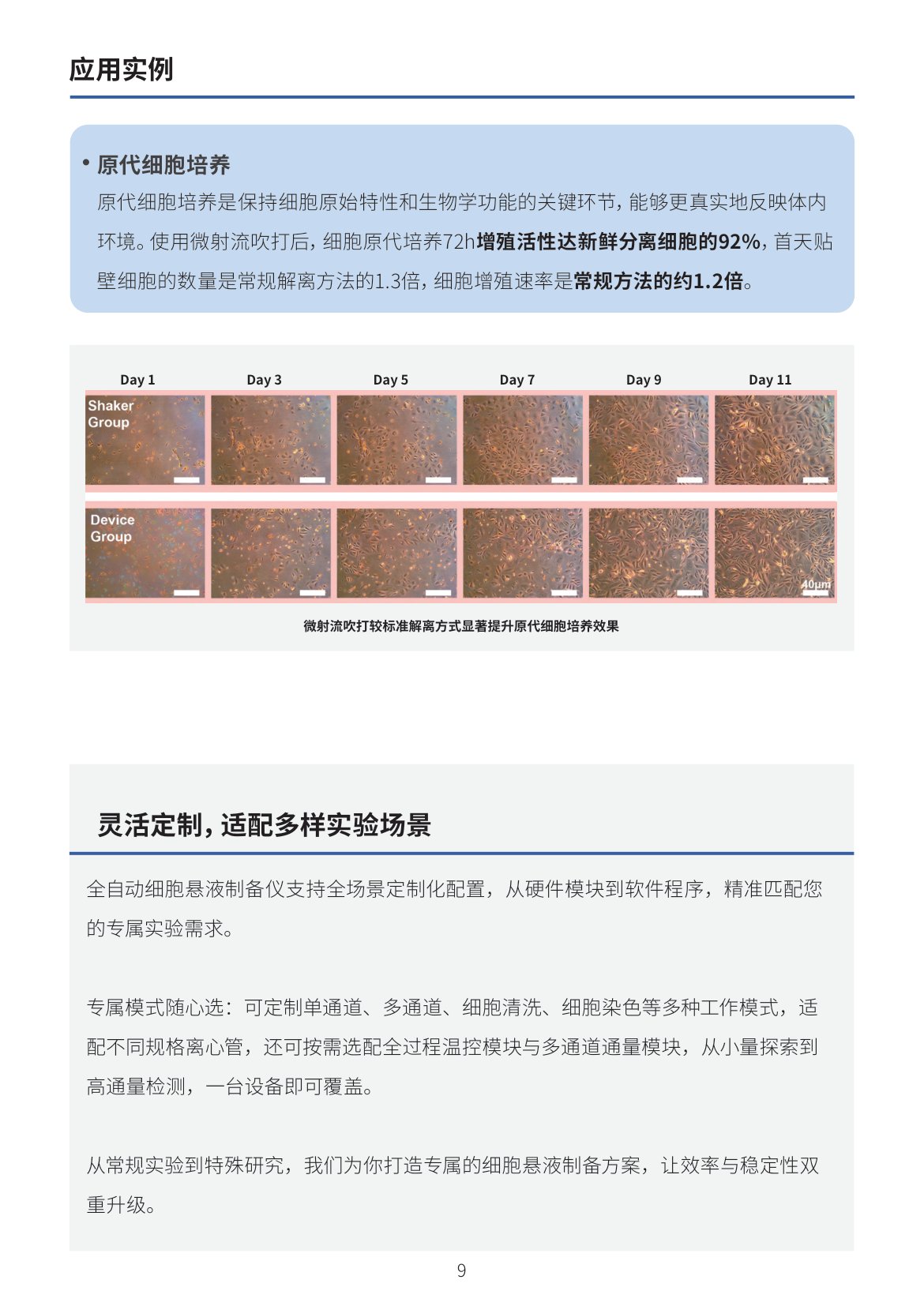 Manual Page 10