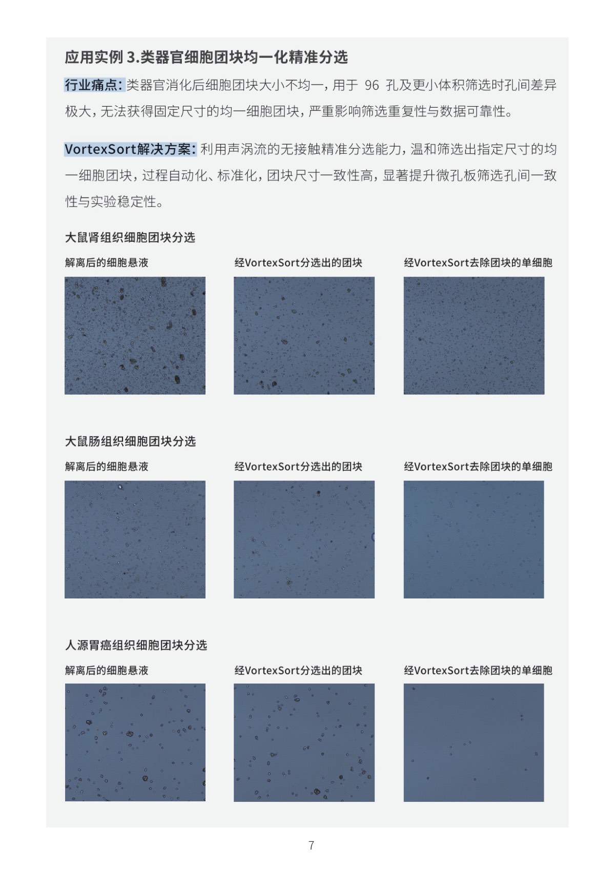 Vortexsort 手册 第8页